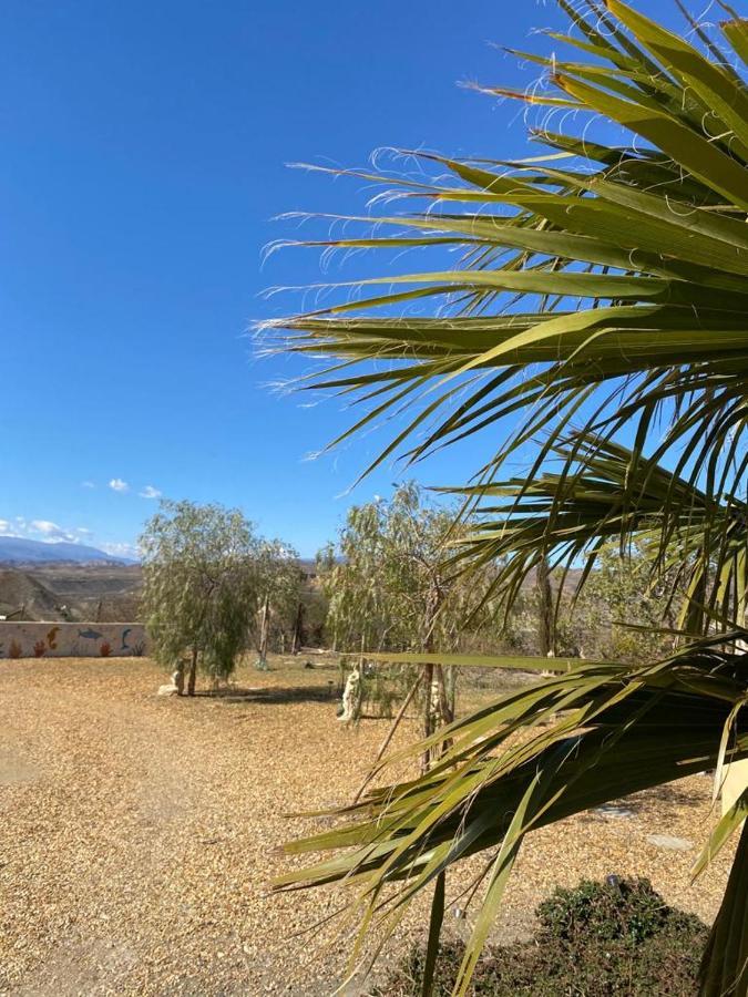 Oasis Montana Peace In Tabernas Desert Exterior foto